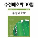 텃밭용 채소키우기 야채씨앗 수정 애호박 30립 식용 새싹채소씨앗 : 돈비마트