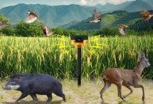 태양광 야생 유해 동물 조류 동작센서 퇴치기 경보기 : 다8A