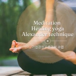 기업강의/ 요가명상/ 알렉산더테크닉/ 힐링치유 : 판교알렉산더테크닉요가