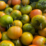 [형원농장] 특품 대저토마토 2.5kg L~3L사이즈 (10-20과) : 파이어뱃