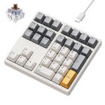 노트북, 맥북, PC 데스크톱, 컴팩트 키보드(레트로 베이지, 브라운 스위치)용 화이트 백라이트 및 PBT 키캡이 있는 34키 핫 : 칠성커머스