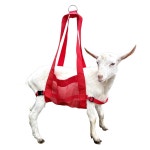 송아지 무게 (빨간색) 돼지를 헤비 측정 동물 농장용 듀티 측정용 양 염소 가축 위한 슬링 Red : 마한-3