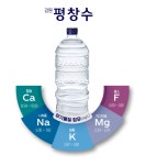 강원도 평창수 무라벨 물 생수 2L 2리터 12개 최근제조 무료배송 : 독버섯몰
