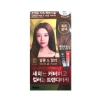 엘라스틴 살롱 드 컬러 100g 짙은갈색 2개 : 서우야호