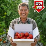 국내산 맛있는 가정용 유럽종 완숙토마토 최상품 : 호야랑농장