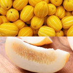 [형원농장] 성주 가정용/못난이 가성비 참외 랜덤과 (2-4kg 택일) : 파이어뱃