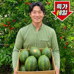 파파야메론 설향 멜론 개구리참외 고령 성산 고당도 메론 2kg 3kg 5kg : 호야랑농장