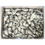 5kg 냉동굴 통영굴 김장용 업소용 식자재 김장굴 : 남명수산유통