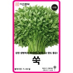 쑥 씨앗 / 1만립 쑥 토속 채소씨앗 민속 주말농장 키우기 희귀 : 아진종묘 꽃씨몰