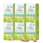 약6달 카테슬림 녹차 카테킨 효과좋은 다이어트 보조제 : 네이처그린라이프 스토어