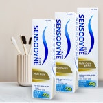 약국용 센소다인 치약 120g 시린이 대용량 멀티케어 이치 잇몸 잇츠 충치 치약 3세트 : 다나아팜