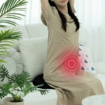 국산 근적외선 좌욕기 LED 에스리커버 임산부방석 산후 출산 치질 항문 전립선 온열기 건식 : 그린엘리펀트