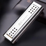 Guanguang 양면 듀얼 톤 24홀 하모니카 G 스케일 초급 성인 전문 연주 수준 민속 음악 : 굿초이스SHOP