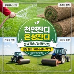 천연 잔디 한국 뗏장 마당 정원 묘지 이식용  40cmx60cm : 농업회사법인주식회사에스