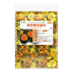 메리골드 꽃차 꽃잎차 국산 제주 마리골드 금잔화 대용량 100g : 샘그린한방몰