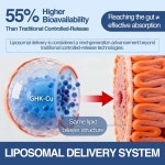 GHK-Cu 펩타이드 2mg 120캡슐 : 포포몬스클럽