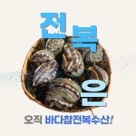 완도전복 1kg 13미,14미,15미,16미 (구이,장아찌용) [바다참전복수산영어조합법인] : 세계전복 바다참전복수산