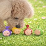 +아스쿠간식 스페푸 생육부심 가수분해 강아지 사료 황태+소간, 1kg, 1개 : 견생혼