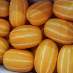 고당도 성주 꿀 참외 (가정용 못난이) 10kg/랜덤 사이즈/제철 과일 간식 : 트루e셀러