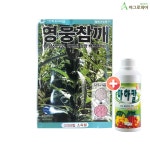 그린하트바이오 영웅 참깨 20000립 씨앗 씨 종자 : 아그로피아