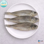 (유)피쉬아트 군산 반건조 조기 식당,업소용 50마리 : 유한회사 피쉬아트
