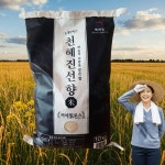 천혜진선향 천혜진선향쌀 향미쌀 10kg, 1개 : 수리메가