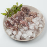 베트남산 급냉쭈꾸미 200g 1팩 (6~8마리) : 천사푸드