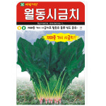 아람종묘 월동 시금치 씨앗 : SN월드