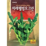 오크린 상추 1000립 미래웰빙오크린 씨앗 종자 : 삼익씨드