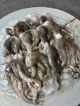엄마들푸드 제철 선동 꽁꽁 활 낙지, 쭈꾸미 1팩 냉동 암수랜덤 냉동 주꾸미 : 주식회사 더블엠