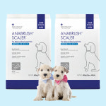 메디웍스 아나브러쉬 강아지 치석제거 덴탈껌 일반두상용, 10g, 100개 : 드림펫 동물병원