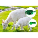 100개 동물 귀표 가축 TPU 소 염소 양 돼지 농장 식별용 호환 - 밝은 색상 : 이스트어썸