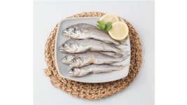 함초담은 백조기 7~10마리/1kg 풀스키친 냉동 : 식재온