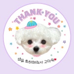 강아지 사진 포토 얼굴스티커 답례 반려동물 생일 축하 간식 선물 소량제작 댕 구디백 스티커 : 디자인키위 스티커