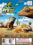 리얼도마뱀 피규어  /50개 랜덤패키지/ 표지카드포함/ : 캡슐토이월드 토이앤펀