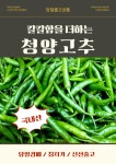 당일경매 국내산 청양고추 신선한 고추 경매후바로발송 양념용 요리용 가정용 : 오케이농산물센터