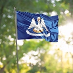 피트 루이지애나 주 깃발 선명한 색상과 퇴색 방지 미국 폴리에스터 황동 고리 1. H01C : 호걸쇼핑21호점