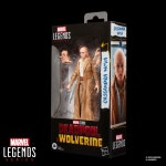 (Hasbro) MARVEL & 15cm G2370 하즈브로 마블 레전드 시리즈 카산드라 노바, 마블 스튜디오 데드 풀 울버린 : TLD.GLOBAL