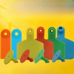 가축 목장 이표 100개 농가 장착기 한우 숫자 식별 젖소 번호표 소 라벨 : 차이나이스