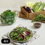 다신샵 3번세척 7종야채 하루한끼 샐러드 4팩 / 정기구독 출고당일 생산 : 다신샵다이어트