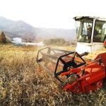 국산콩된장 토속된장 집 시골 재래식 수제 숙성 맛있는 2.5kg : 더모이라