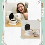 화장실 모양 애완동물 급수기 분리형 고양이 물통 뚜껑이 변기 물 분수 1. White : 호걸쇼핑46호점