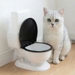 화장실 모양 애완동물 급수기 분리형 변기 고양이 물통 뚜껑 워터 분수 1. White : 호걸쇼핑46호점