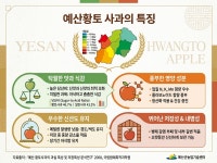 토골농장 생사과즙 사과착즙 선물세트 명품 110ml, 50개 : 토골농장