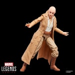 (Hasbro) MARVEL & 15cm G2370 하즈브로 마블 레전드 시리즈 카산드라 노바, 마블 스튜디오 데드 풀 울버린 : TLD.GLOBAL