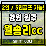 월송리cc 2인 3인골프 1박2일 카트포함 노캐디골프장 패키지 : 자이언트골프 국내해외예약