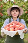 [산지직송] 영동 맑은공기 달콤복숭아 4kg : 영동복숭아달콤농장