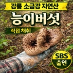 2025 능이버섯 강릉 자연산  국내산 생능이버섯 판매 건능이 건조능이 냉동능이 판매 : 강릉동산농원