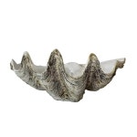 미국 빈티지 공예품 해양 조개껍질 산호 화분 장식품 거실 입구 발코니 예술 작품 1. 60 38 26 : 묵향쇼핑27호점