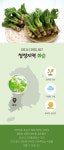 산지직송 1kg 참두릅 [당일수확 / 당일출고]  청정지역에서 재배된 봄의 보약 참두릅 1kg, 1개 : 청풍자연농원